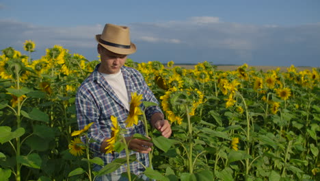 The-boy-is-watching-and-touching-the-sunflowers.-He-enjoys-the-great-weather-in-the-sunflower-field.-Beatifull-day-in-nature.